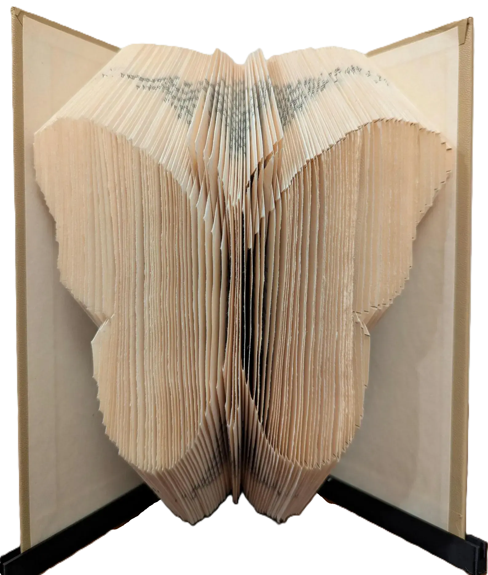 Butterfly Book Art