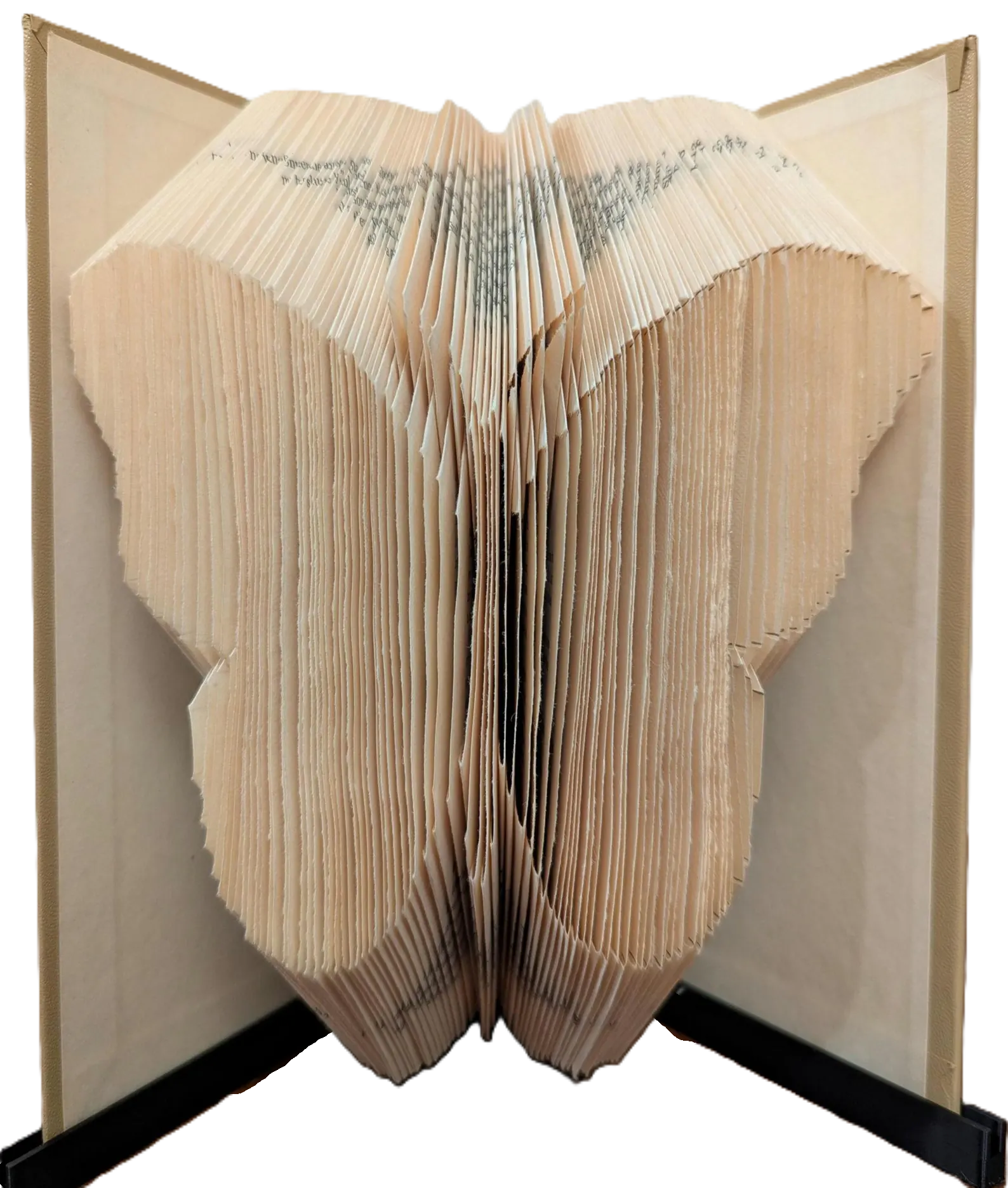 Butterfly Book Art