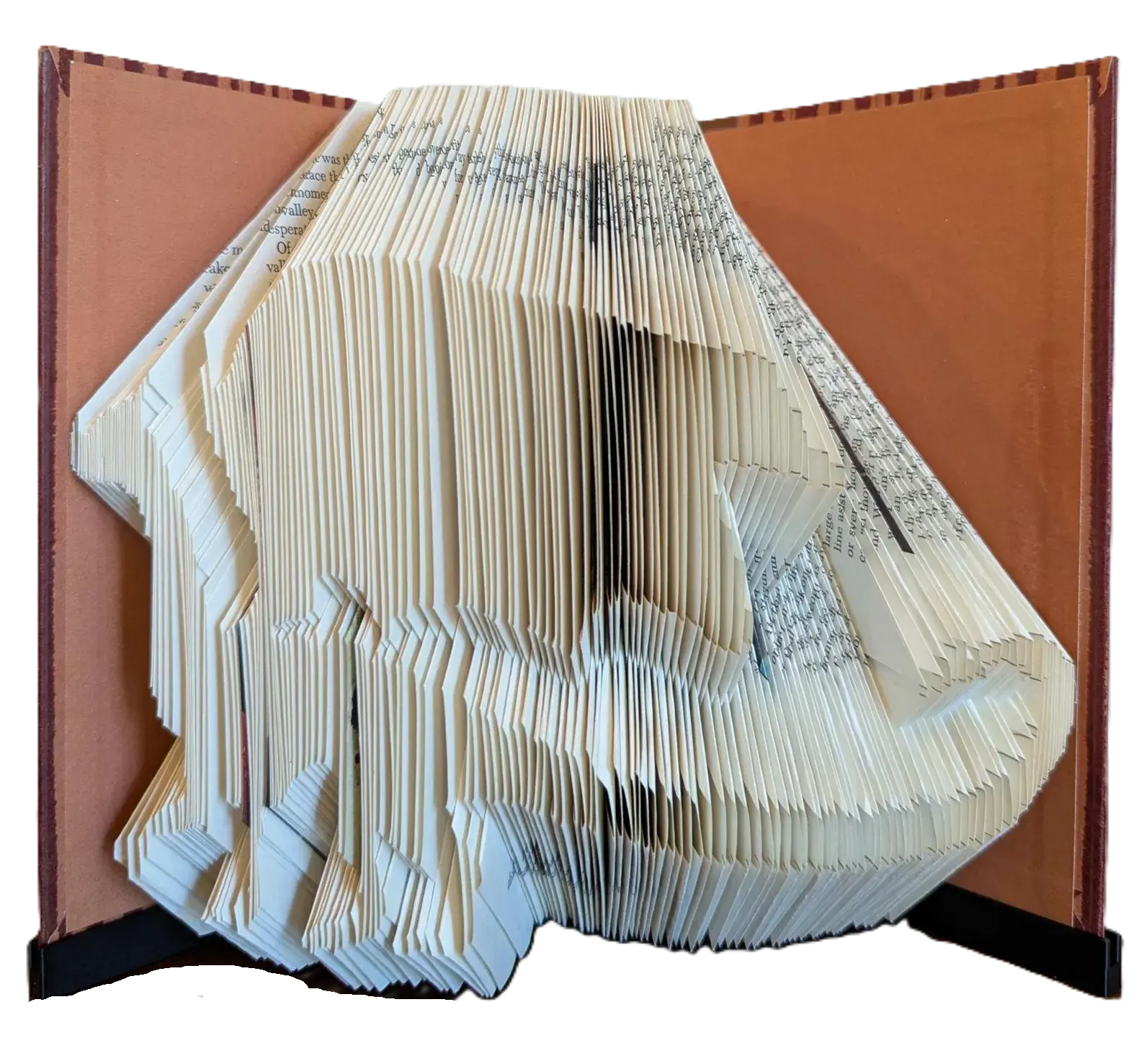 Dragon Book Art
