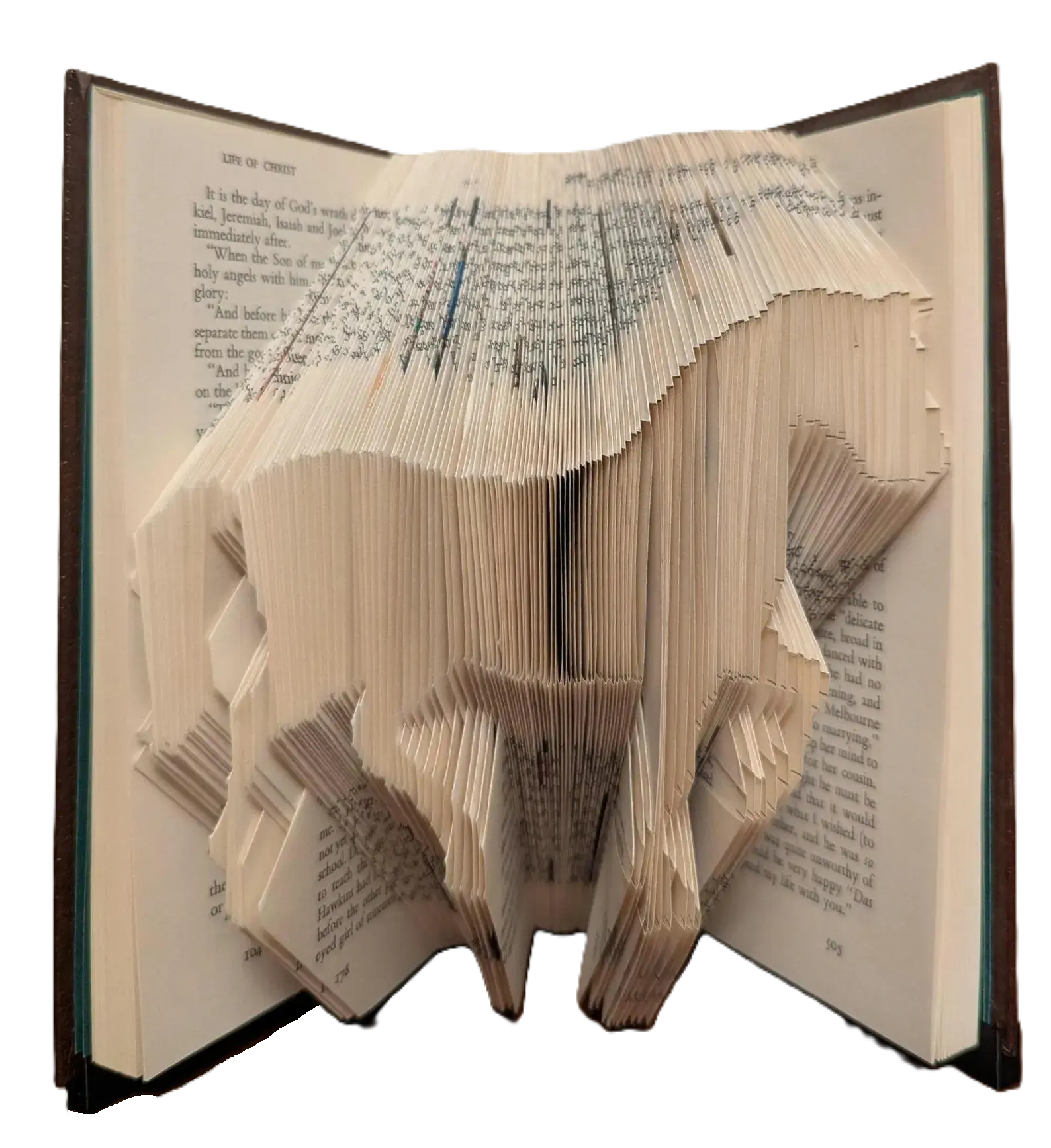 Horse Book Art