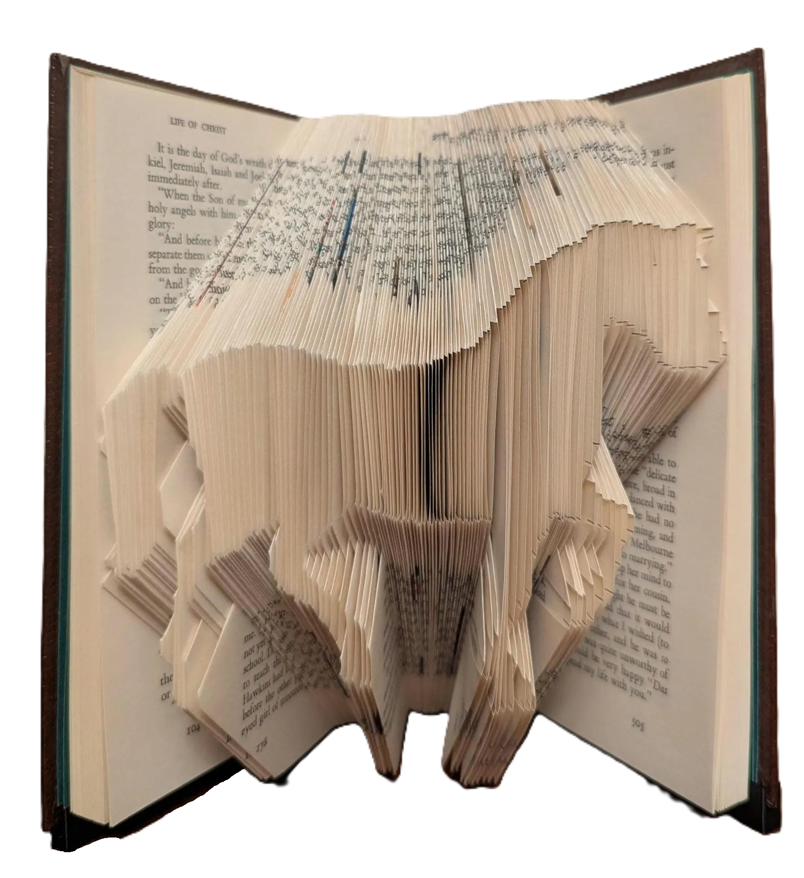 Horse Book Art