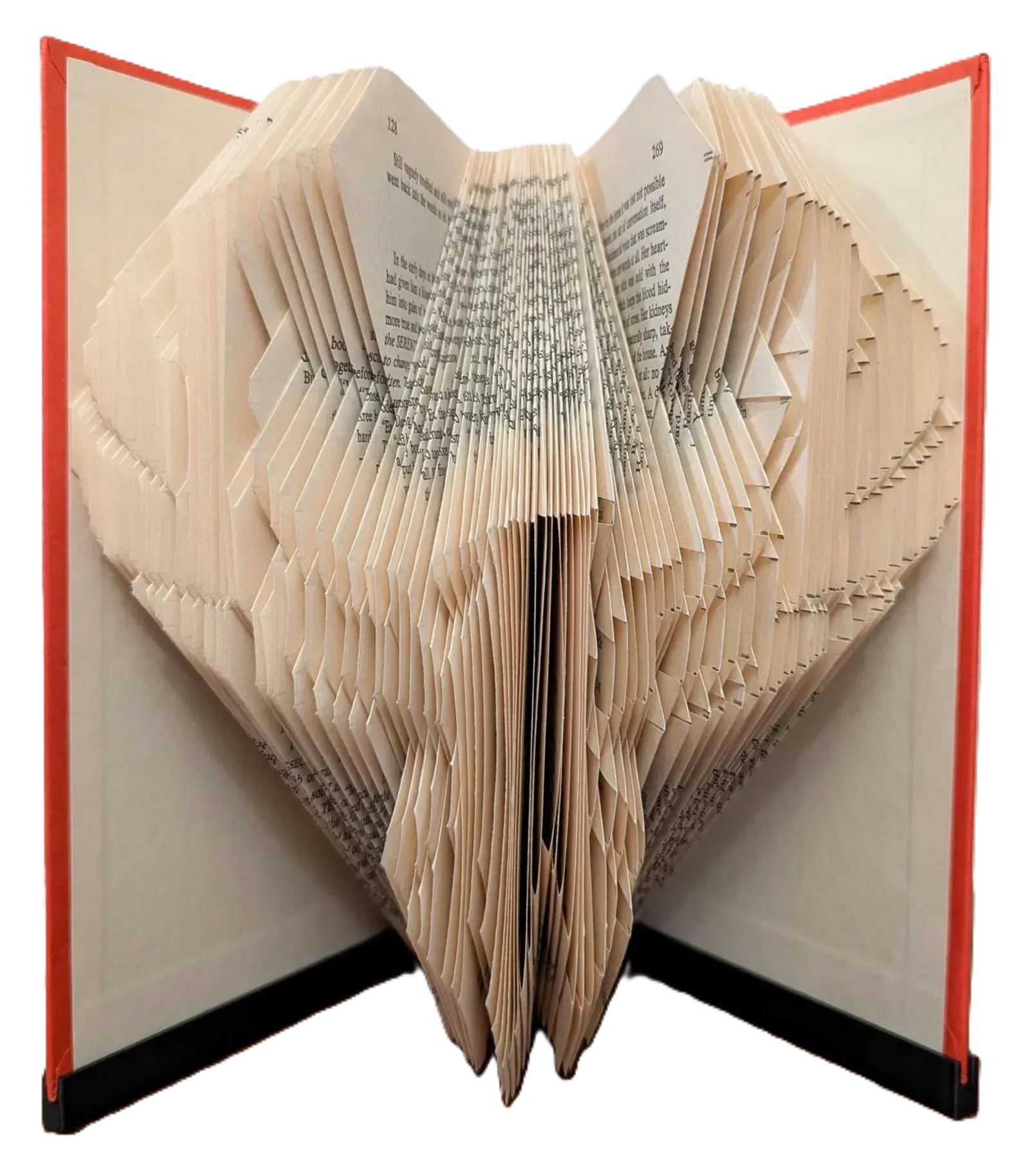 Phoenix Book Art