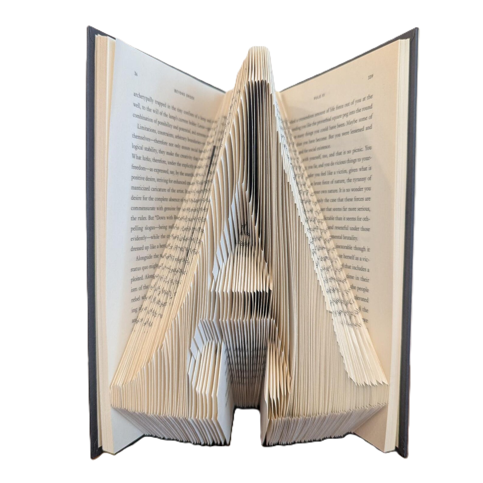 Tex Gyre Schola Large Letters